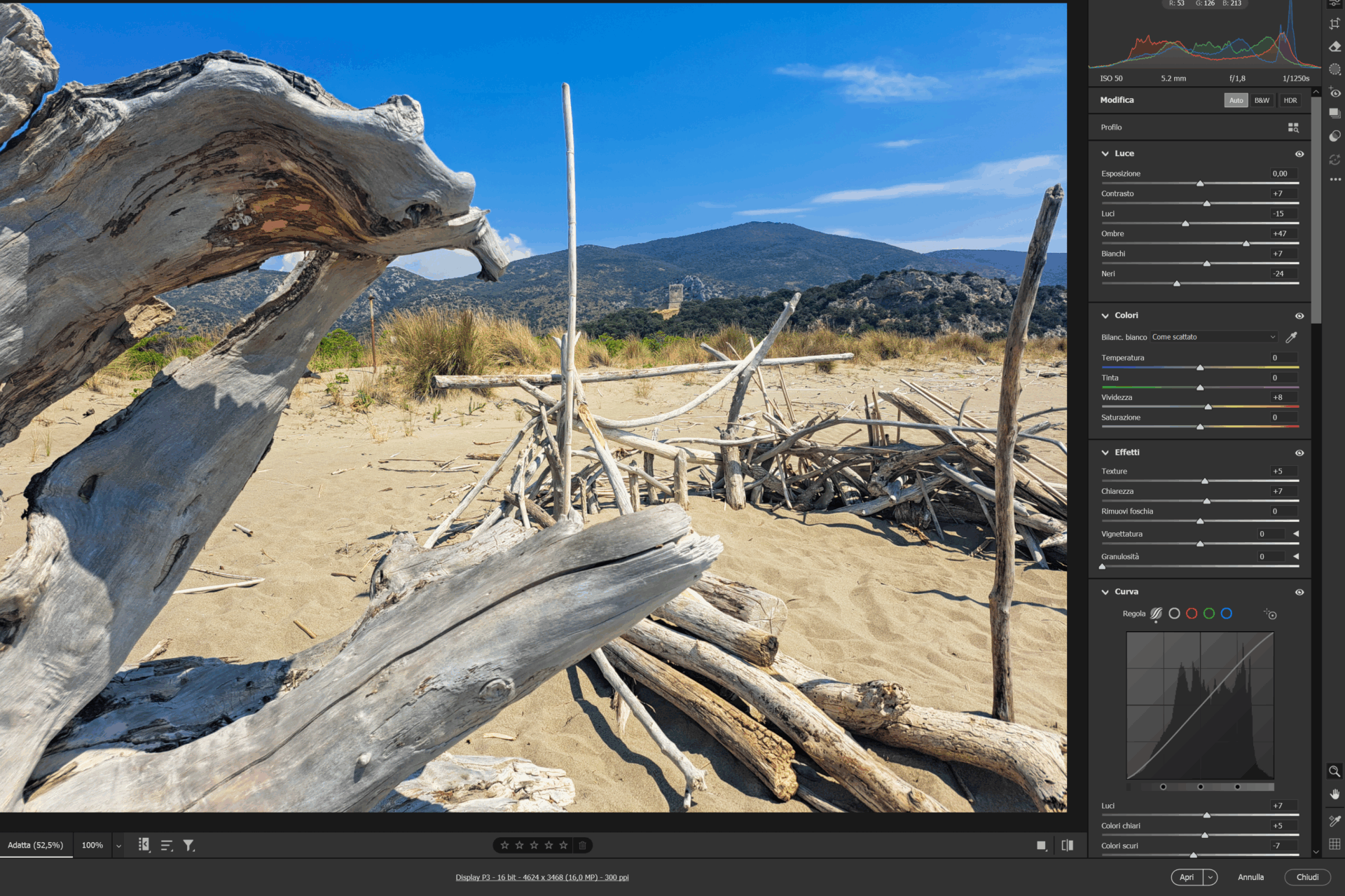 schermata di Adobe Camera Raw